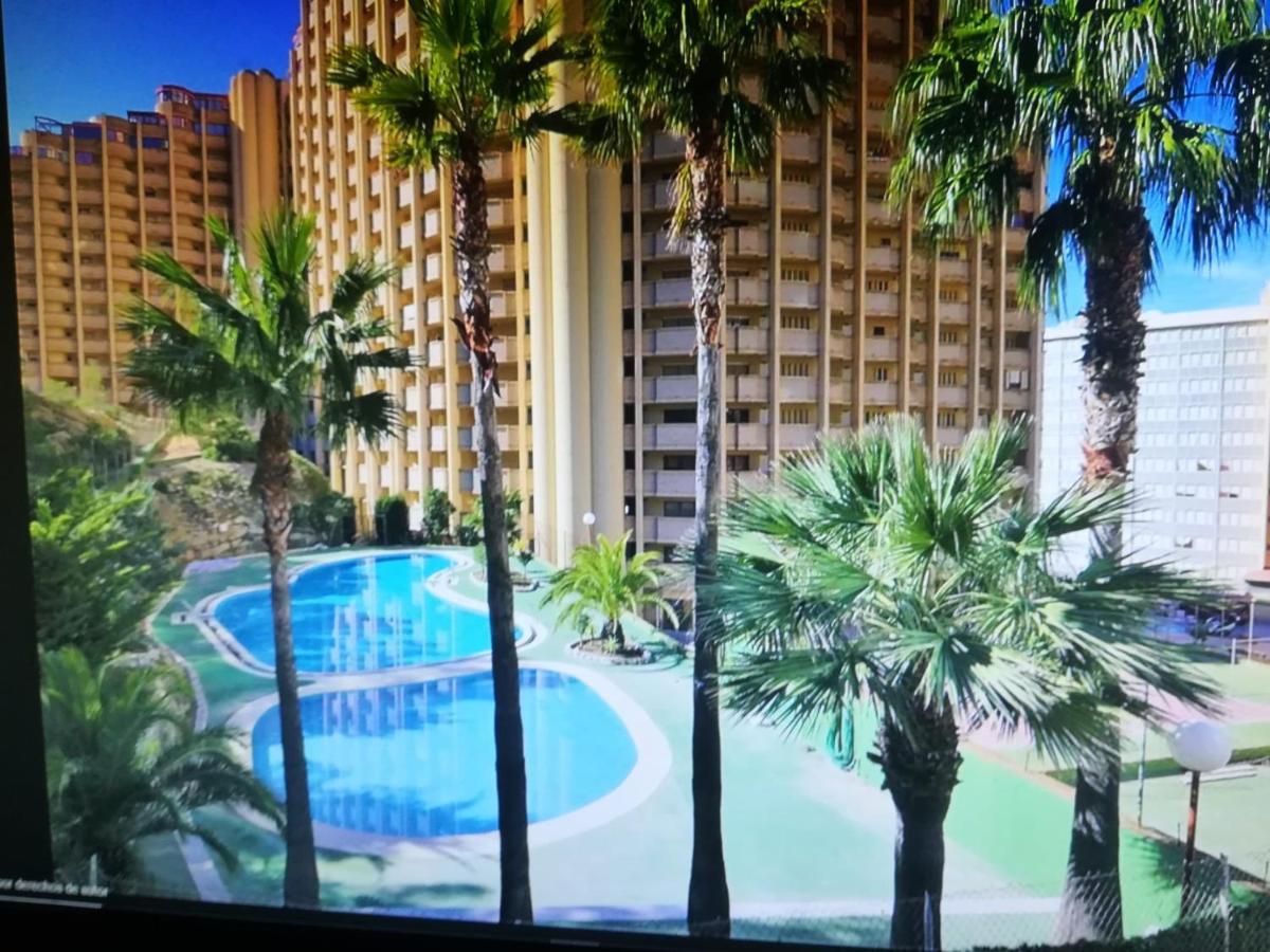 Cumbre Loix Apartment بينايدورم المظهر الخارجي الصورة